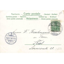 n°24593 - Paikkettes - Fröhliche Pfingsten - Ange jouant du violon, pour des hirondelles, écureuil, sauterelle...