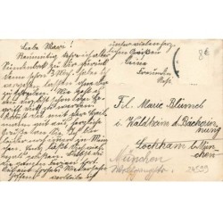 n°24599 - Chiens - Dackël-Mütterchen - Jeune fille nourrissant des teckels