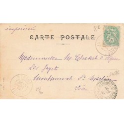 n°24676 - Carte Peinte à la Main - Singe nettoyant les défenses d'un éléphant