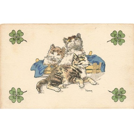 n°24744 - Trimm - Chat - Trois chats dans une caisse en bois