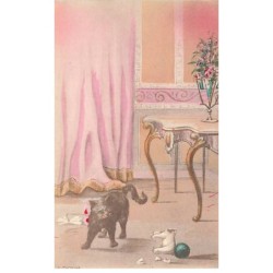 n°24745 - Animaux - Chat...
