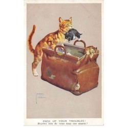 n°24746 - Chat - Lawson...