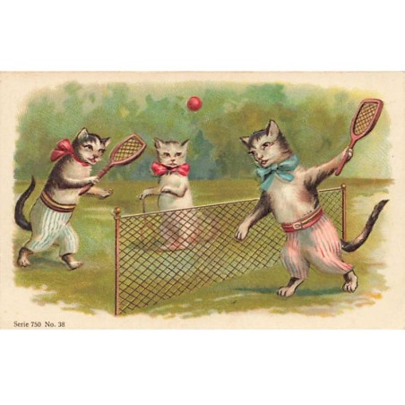 n°24749 - Carte Gaufrée - Chat - Chats Humanisés faisant une partie de tennis
