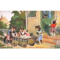 n°24795 - Chats habillés...