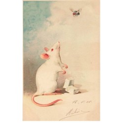 n°24798 - Meissner - Une...