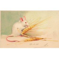 n°24799 - Meissner - Une...