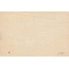 n°24800 - Carte Gaufrée - Une palette de peintre avec une jument et son poulain