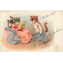 n°24894 - Fantaisie -...