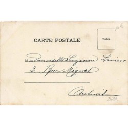 n°24894 - Fantaisie - n°8008 - Chats habillés, l'une assise dans une brouette poussée par un autre