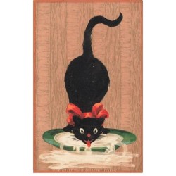 n°24991 - Animaux - Un chat...
