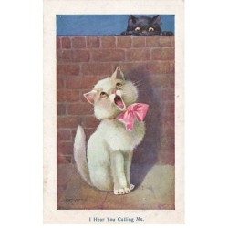 n°24992 - Animaux - Chat -...