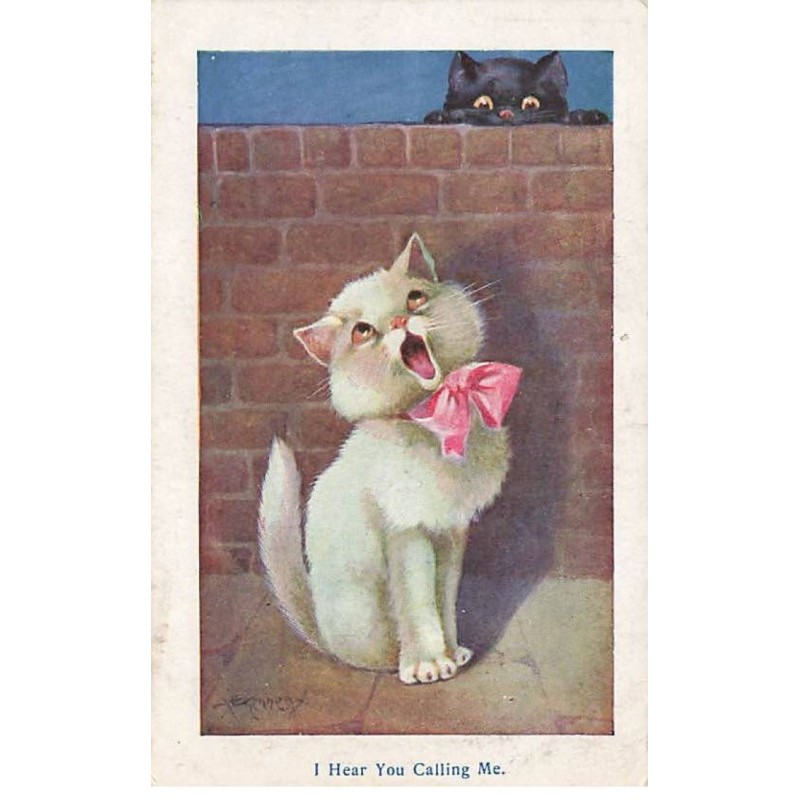 n°24992 - Animaux - Chat - Kennedy -I Hear You Calling me