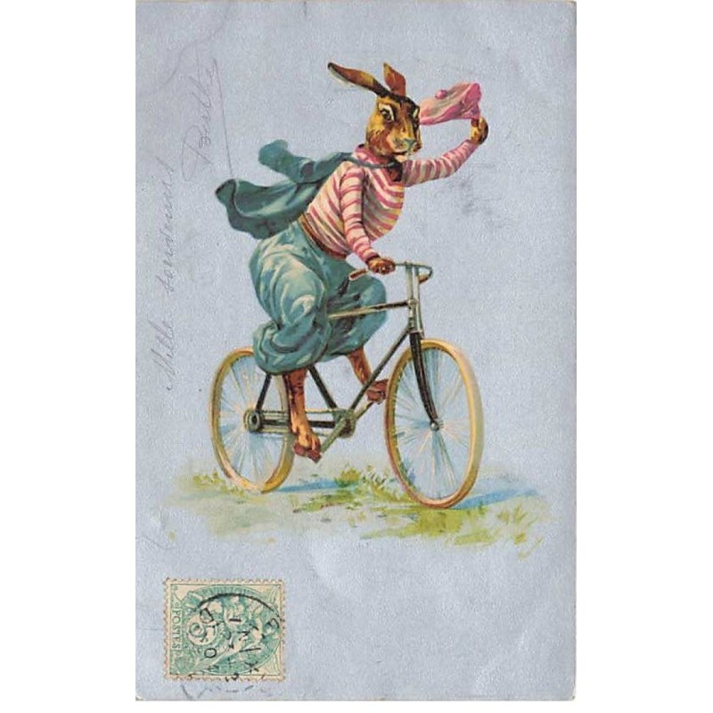 n°24995 - Animaux Habillés - Lièvre habillé faisant du vélo