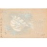 n°25028 - Carte Fantaisie Celluloïd peinte à la Main - Sainte Catherine - Bonnet Blanc