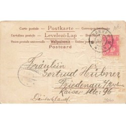 n°25040 - Carte Fantaisie Gaufrée - Femmes Japonaises regardant des oiseaux