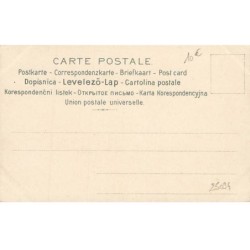 n°25094 - Fantaisie - Portrait d'enfant avec un boa en fourrure