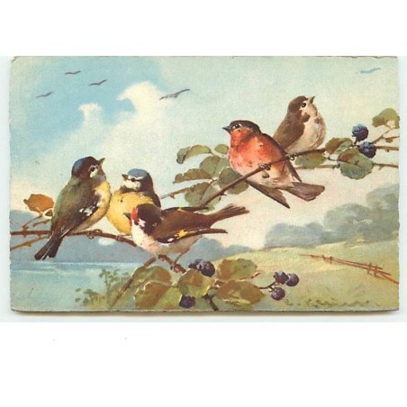 n°11910 - C. Klein - 5 Oiseaux sur branche