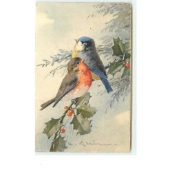 n°11911 - C. Klein - Oiseaux