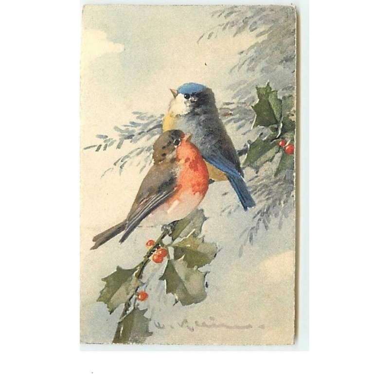 n°11911 - C. Klein - Oiseaux
