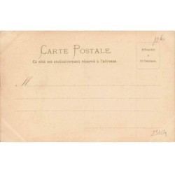 n°25164 - Fantaisie - Jeune femme se promenant au milieu d'Iris - MSM