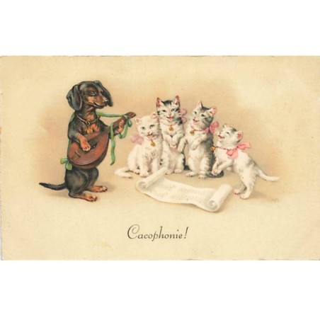 n°25166 - Fantaisie - M. Flatscher - Cacophonie - Teckel jouant de la mandoline - Chat
