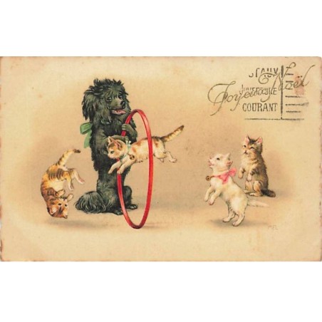 n°25167 - Fantaisie - M. Flatscher - Grand caniche faisant sauter des chats dans un cerceau