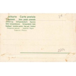 n°25194 - Fantaisie - Clapsaddle - Fillette portant des branches fleuries