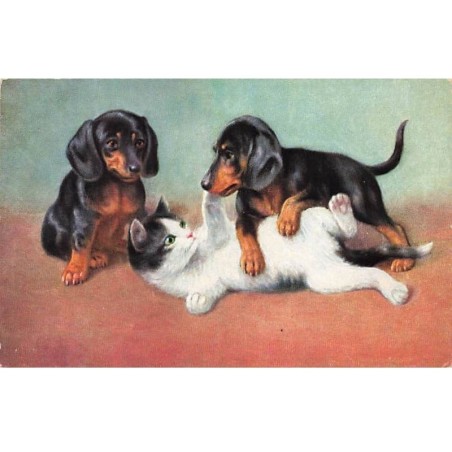 n°25198 - Animaux - Chien - Teckels jouant avec un chat