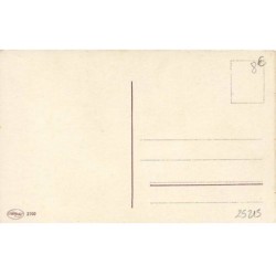 n°25215 - Nouvel An - Viel Glück zum Neuen Jahre - Ange assis avec des portes-bonheur sur une cheminée