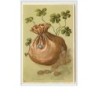 n°2533 - Carte  Gaufrée - Prosit Neujahr - Sac de pièces de monnaie