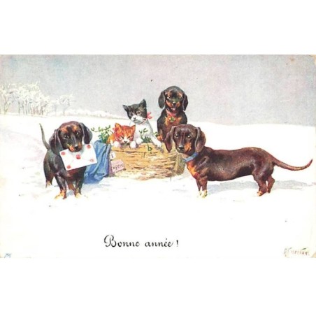 n°25377 - Feiertag - Bonne Année - Teckels autour de chats dans un panier - dackel