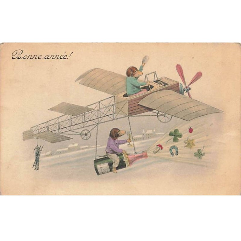 n°25378 - Bonne Année - Teckels humanisés, l'un pilotant un avion, l'autre trinquant au champagne