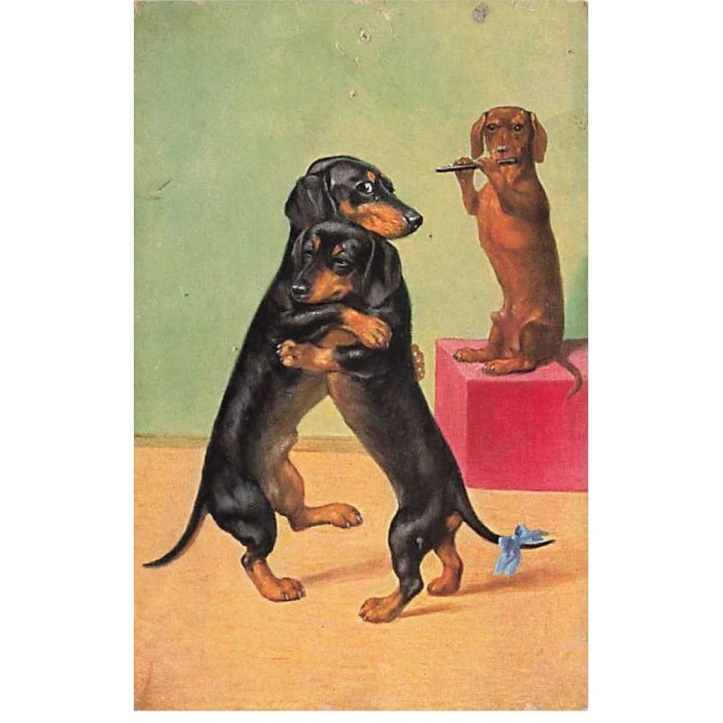 n°25396 - Animaux - Chien - Deux teckels dansant ensemble - dackel