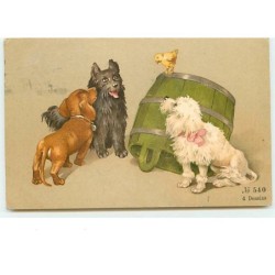 n°11948 - Chiens regardant...