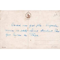 n°25396 - Animaux - Chien - Deux teckels dansant ensemble - dackel