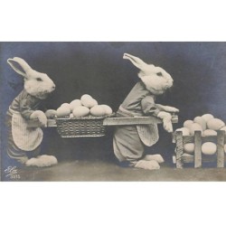 n°25418 - Pâques - Lapins...