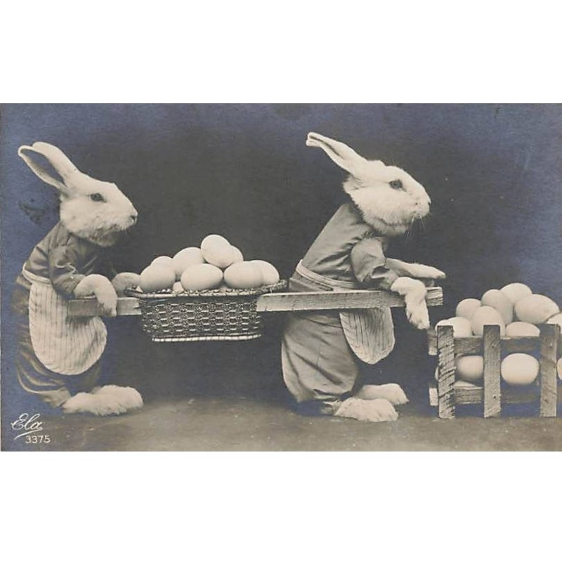 n°25418 - Pâques - Lapins Habillés transportant des oeufs