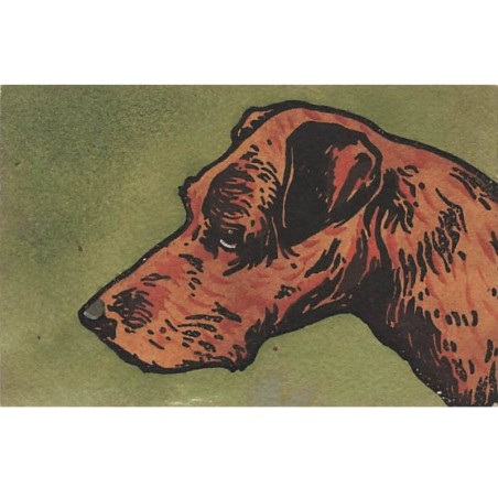 n°25446 - Carte Illustrateur - MM Vienne n°616 - Chien marron