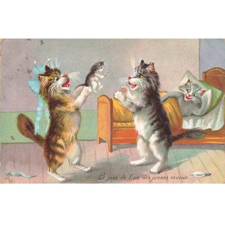 n°25449 - Illustrateur - Maurice Boulanger - Le jour de l'an des jeunes mariés - Chat