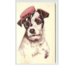 n°2575 - Chien Liftier d'un...