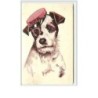 n°2575 - Chien Liftier d'un Hôtel - Fox Terrier