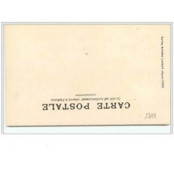n°2711 - Silhouette d'un homme et d'une femme dans une voiture