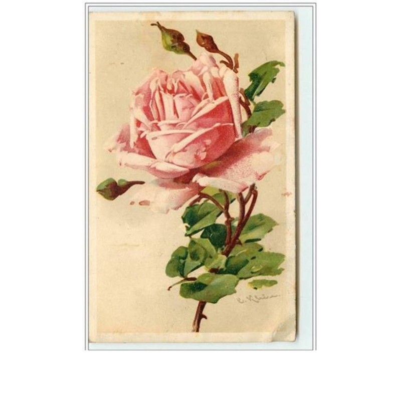 n°3066 - Catharina Klein - Rose