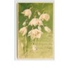 n°3069 - Catharina Klein - Fleurs blanches - Meissner