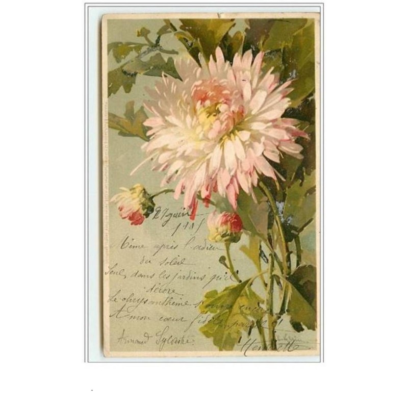 n°3109 - Catharina Klein - Chrysantheme - Meissner