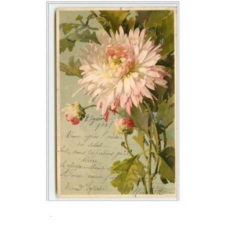 n°3109 - Catharina Klein - Chrysantheme - Meissner