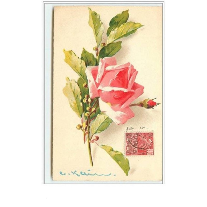 n°3216 - Catharina Klein - Rose rose
