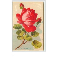 n°3308 - Catharina Klein -...
