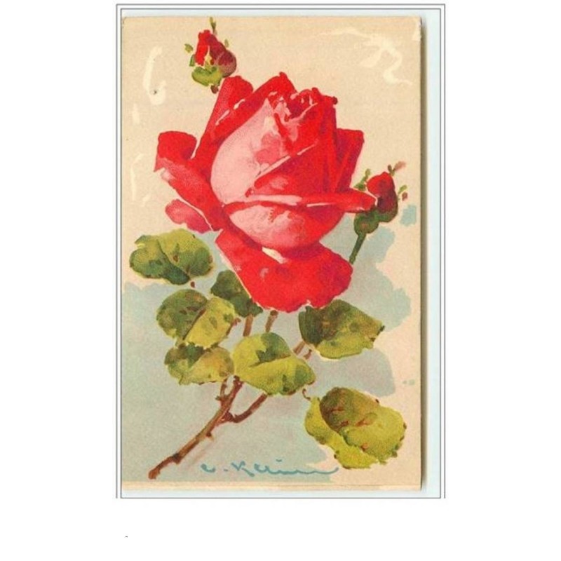 n°3308 - Catharina Klein - Rose rouge