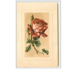 n°3373 - Catharina Klein -...